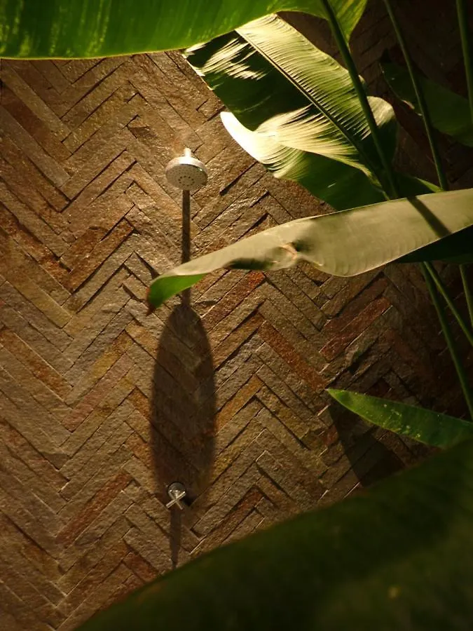 Villa Hujan 2 Seminyak